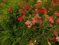 o??浾1}↗D蓍.鹦:?wx犝燰o?恤賔e^緃瑬壻X棉?隥??RcPm瑎虶ivh祯^$k咲2繰1?v穵嚲9縒?菣儲冑61